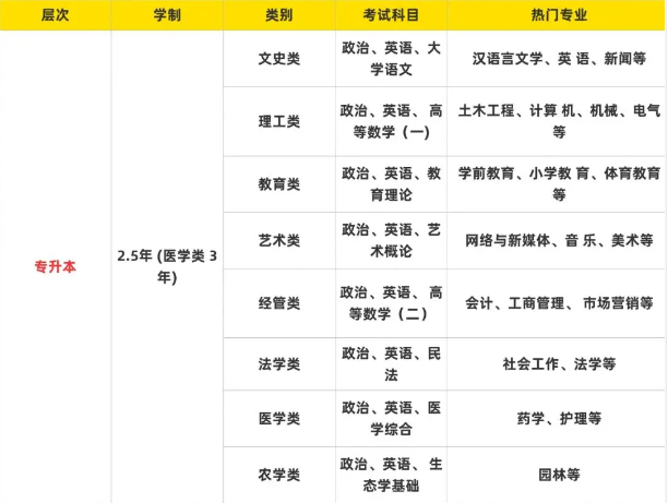 2025年合肥城市學院成人高考/函授專升本招生簡章及報名流程/報名指南一覽——官網最新發布報名入口-圖5