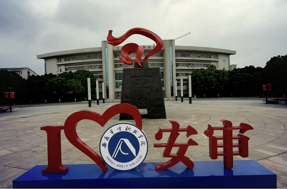 2025年安徽審計職業學院高職單招/分類考試招生專業有哪些？——官網最新發布招生簡章一-圖2