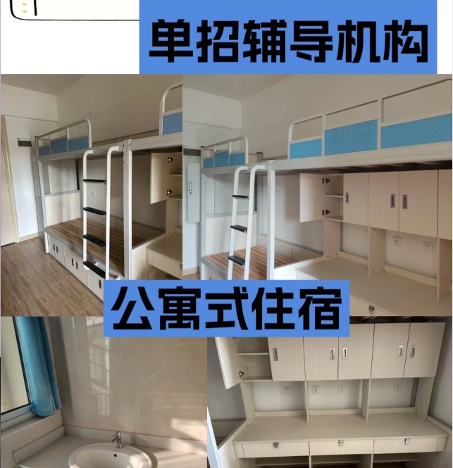 安徽單招網(wǎng)集訓(xùn)營(yíng)：一站式解決單招難題-圖4