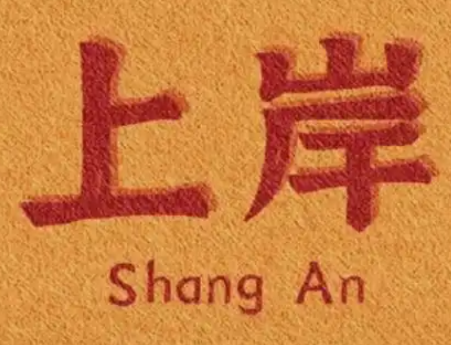 安徽單招網集訓營：開啟升學新篇章-圖3