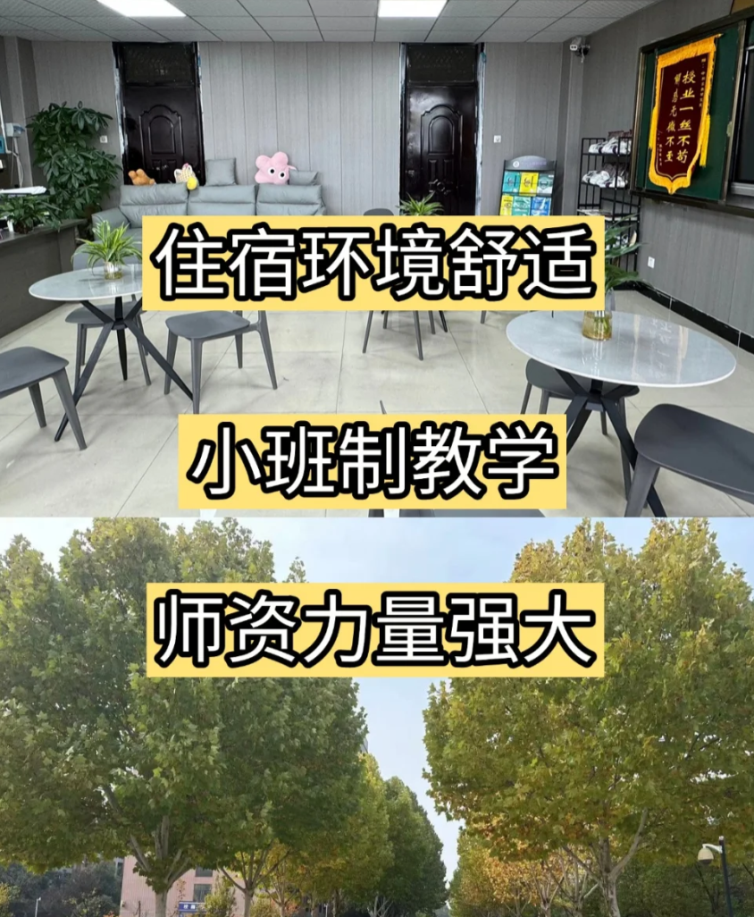 安徽單招網集訓營：名師授課，精準提分-圖3