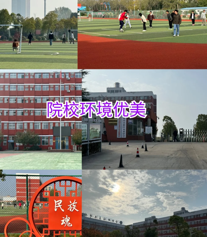 2025年安徽省分類考試沖刺班：安徽單招網集訓營等你來-圖3