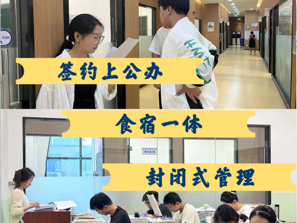 2025安徽單招網分類考試沖刺班：助你直通理想高校-圖3