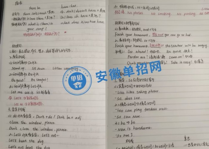 安徽省分類考試優(yōu)選培訓(xùn)班 | 安徽單招網(wǎng)專業(yè)領(lǐng)航-圖1