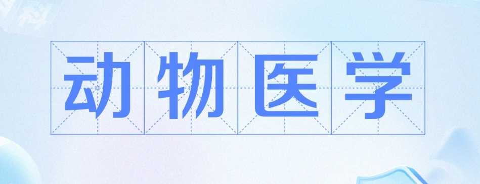 2025年安徽省成人高考/函授專升本動(dòng)物醫(yī)學(xué)專業(yè)怎么報(bào)名？在哪報(bào)名？——官網(wǎng)最新發(fā)布報(bào)考流程一覽-圖2