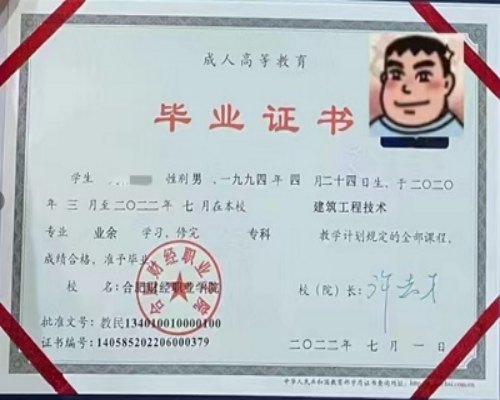 安慶職業(yè)技術(shù)學院2025年成人高考專科怎么報名？報名條件及要求-圖5