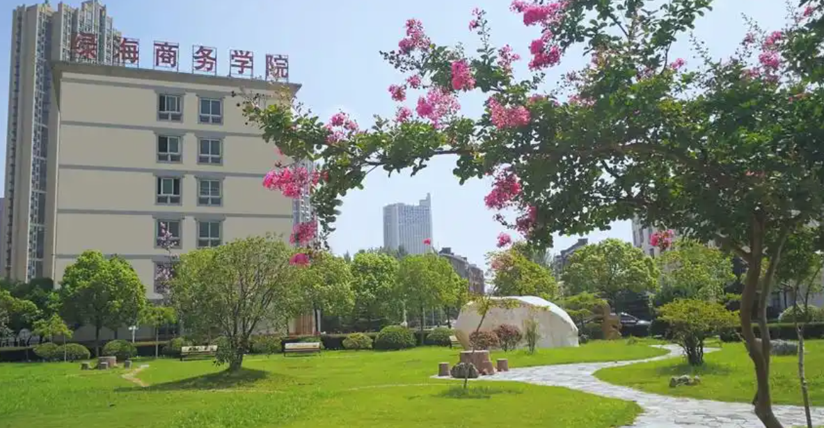 2025年安徽綠海商務職業學院高職單招/分類考試線下培訓班哪家好？——推薦安徽單招網線下培訓班|雙師教育/上岸率高！-圖2