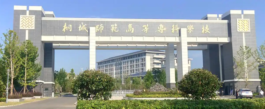 2025年桐城師范高等專科學校高職單招/分類考試需要考多少分才能上？校考考試內容和占比是多少？-圖2