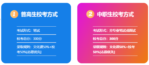 2025年桐城師范高等專科學校高職單招/分類考試需要考多少分才能上？校考考試內容和占比是多少？-圖4