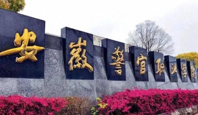 2025年安徽警官職業(yè)學(xué)院高職單招/分類考試需要考多少分才能上？校考考試內(nèi)容和占比是多少？-圖2