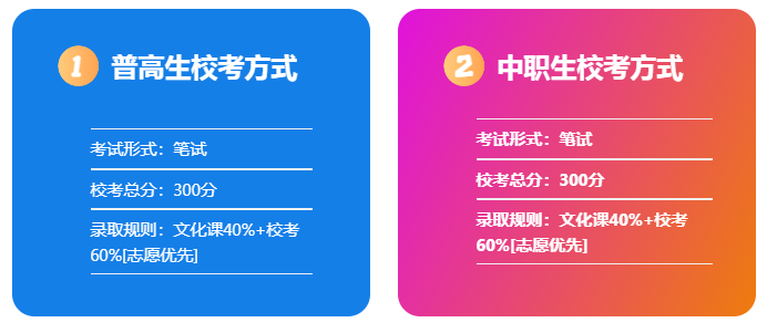 2025年滁州城市職業學院高職單招/分類考試文化課需要考多少分才能上？校考考試內容和占比是多少？-圖5