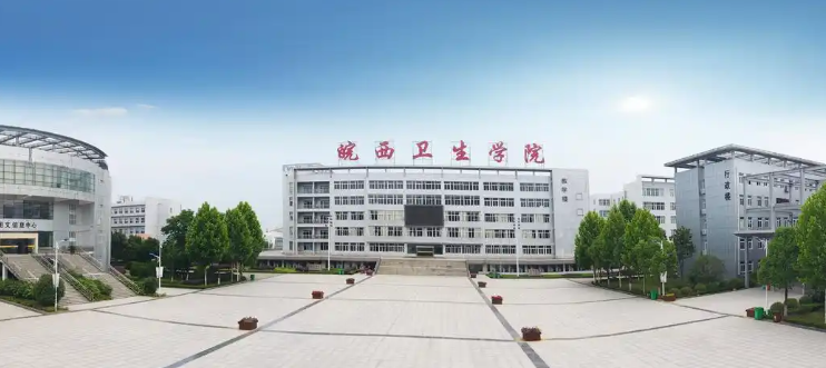 2025年皖西衛生職業學院高職單招/分類考試公共文化課需要考多少分才能上？校考考試內容和占比是多少？-圖2