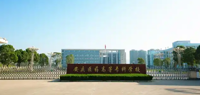 2025年安慶醫藥高等專科學校高職單招/分類考試文化課需要考多少分才能上？校考考試內容和占比是多少？-圖2
