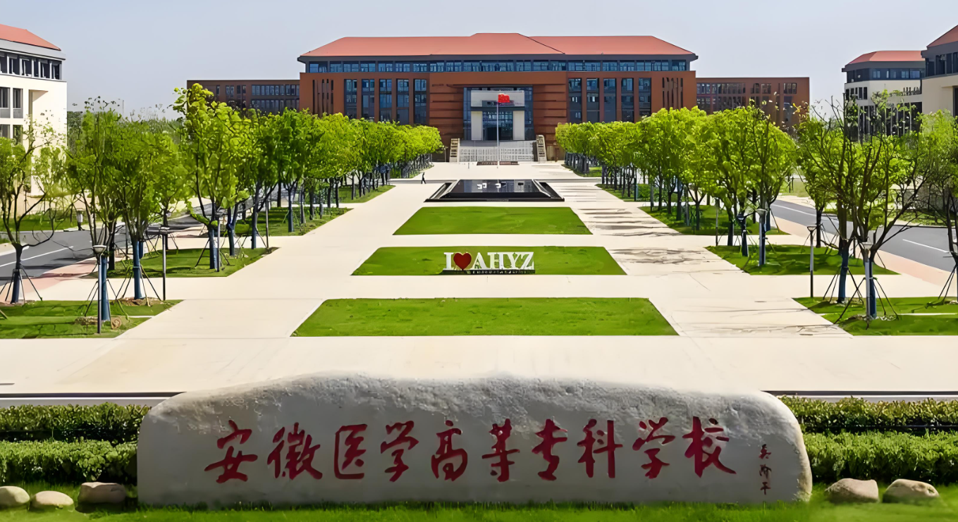 2025年安徽醫(yī)學(xué)高等專科學(xué)校高職單招/分類考試文化課需要考多少分才能上？校考考試內(nèi)容和占比是多少？-圖2