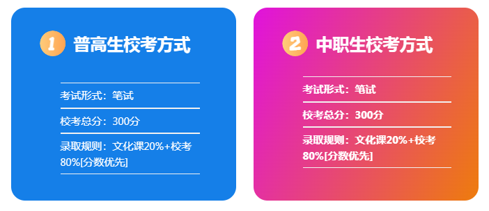 2025年合肥信息技術職業學院高職單招/分類考試文化課需要考多少分才能上？校考考試內容和占比是多少？-圖3
