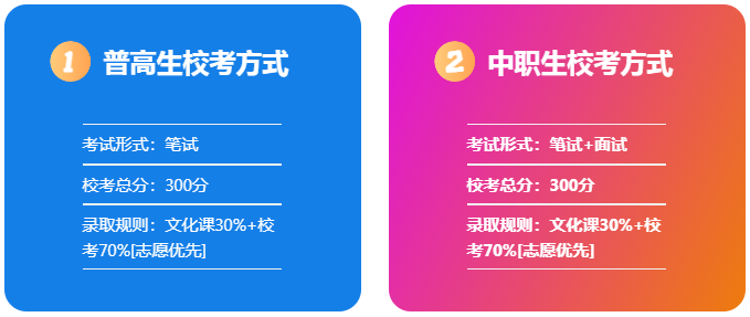 2025年安徽中澳科技職業學院高職單招/分類考試文化課需要考多少分才能上？校考考試內容和占比是多少？-圖5