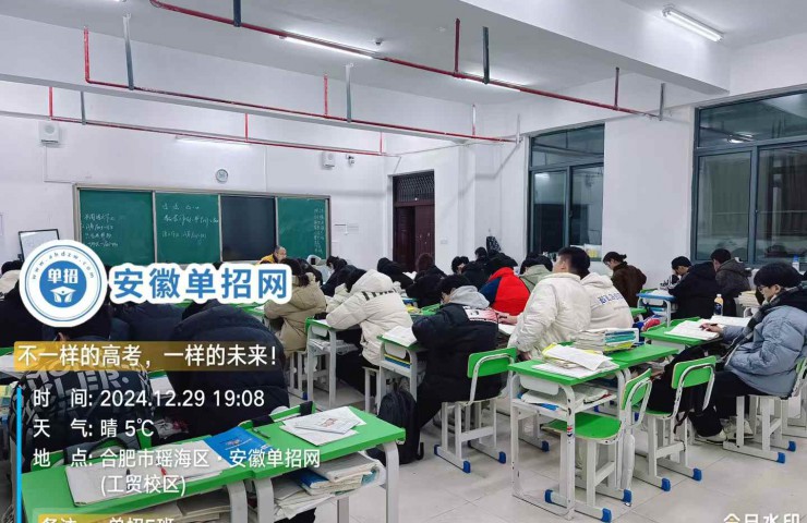 安徽單招精英集訓(xùn)：打造高分考生，助力升學(xué)夢(mèng)想-圖1